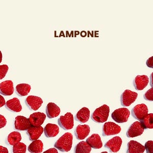 Lampone